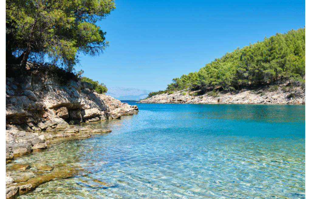 A quiet aquamarine bay on Šolta island with a rocky shoreline and ancient olive groves under a clear sky.