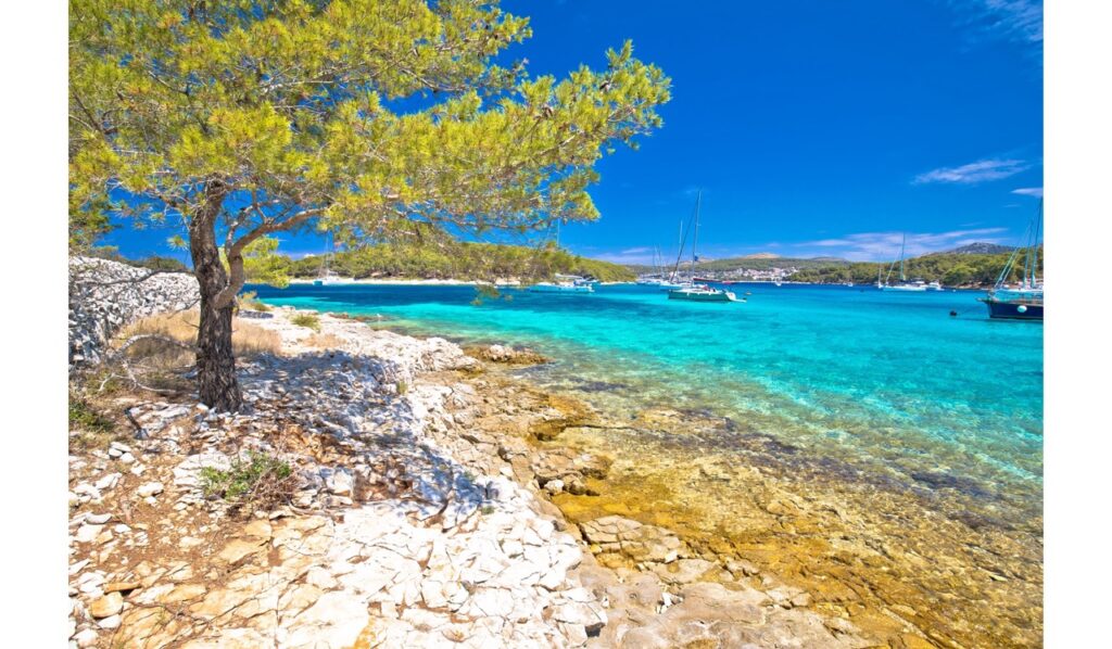 The wild, green coastline of Sveti Klement island in the Pakleni archipelago, featuring sapphire coves and exotic Mediterranean flora.